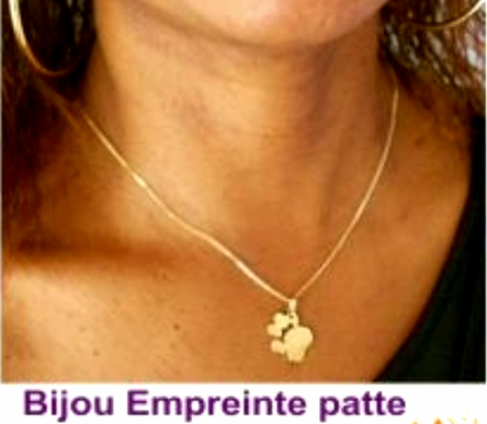 chienbijoux_Machu5